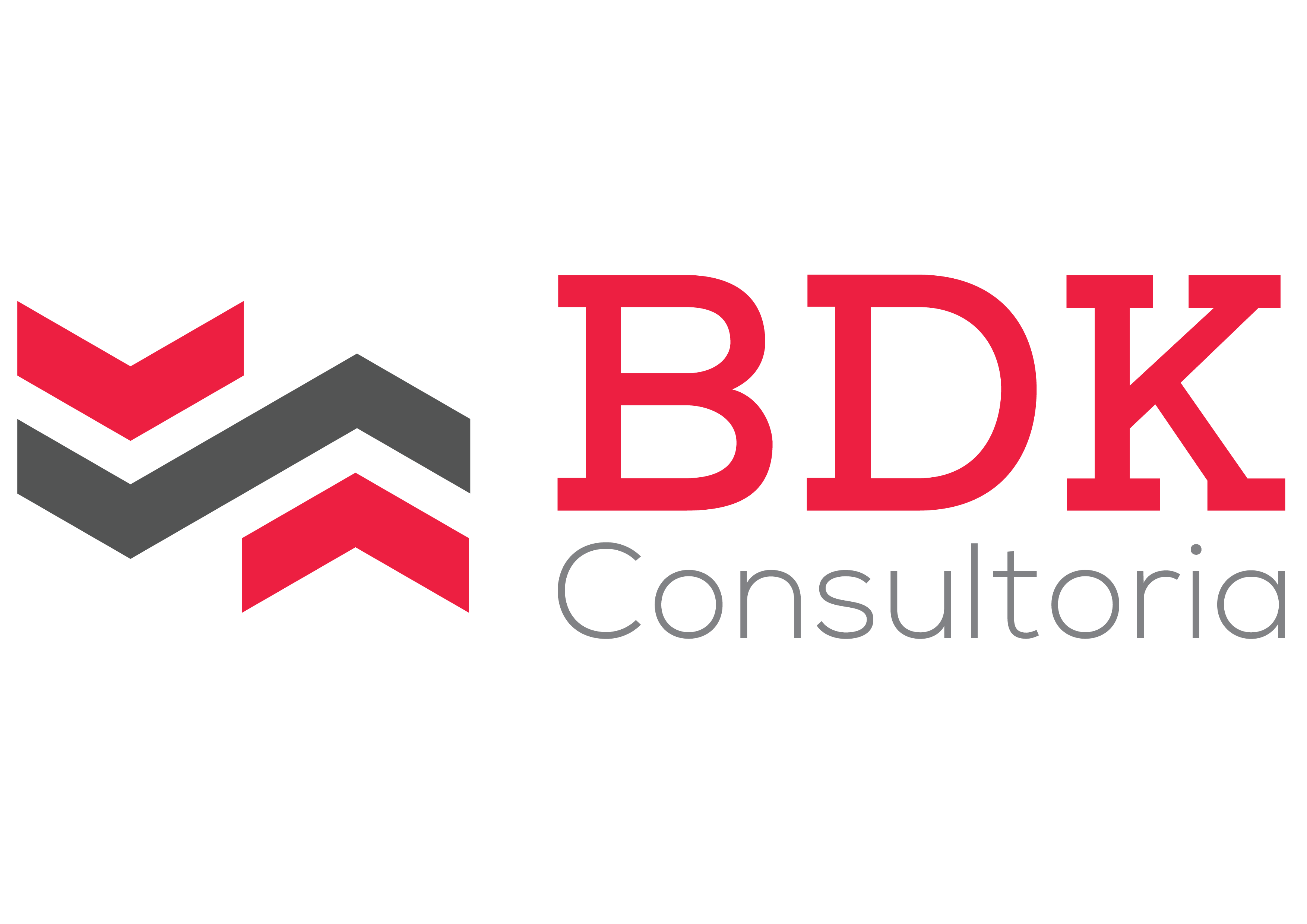 BDK Consultoria
